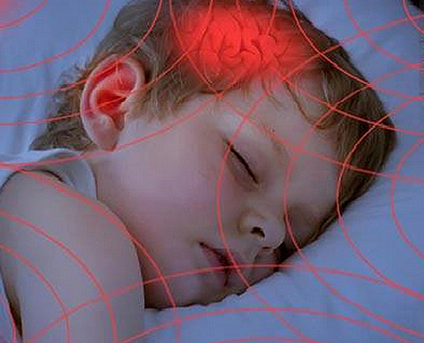 Bhital · Salud Ambiental & Medicina Biológica