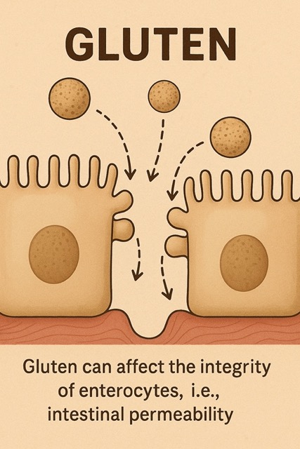 gluten