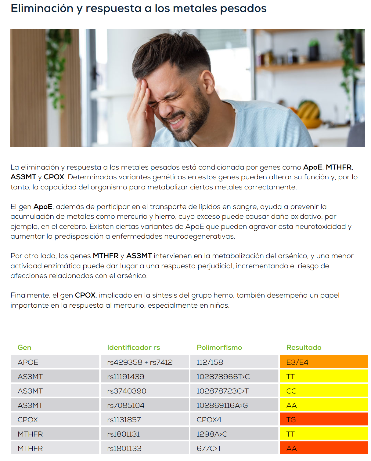 GENES RELACIONADOS CON LA ELIMINACIÓN DE METALES GENES RELACIONADOS CON