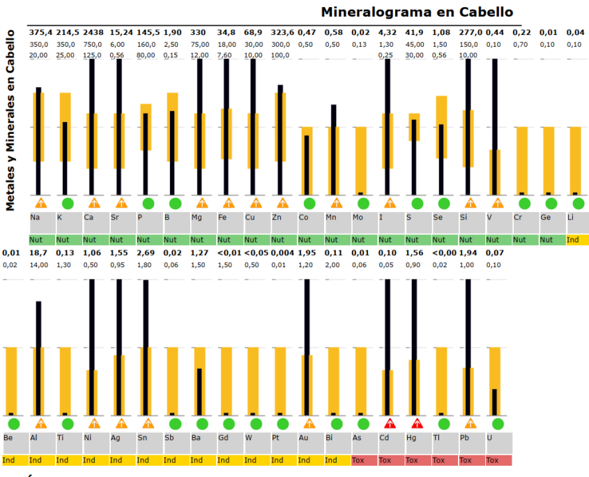 MINERALOGRAMA DE CABELLO