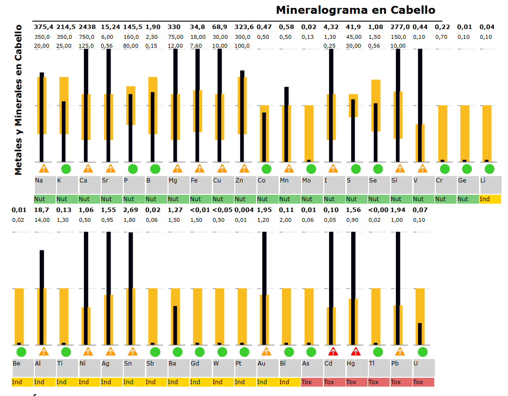 MINERALOGRAMA DE CABELLO MINERALOGRAMA DE CABELLO