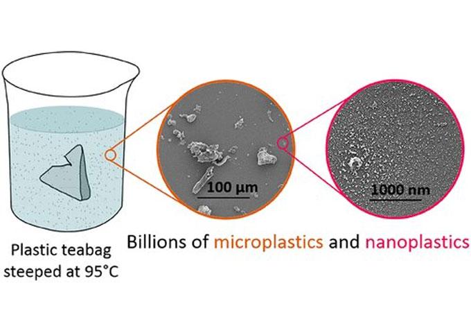 Microplasticos te 2