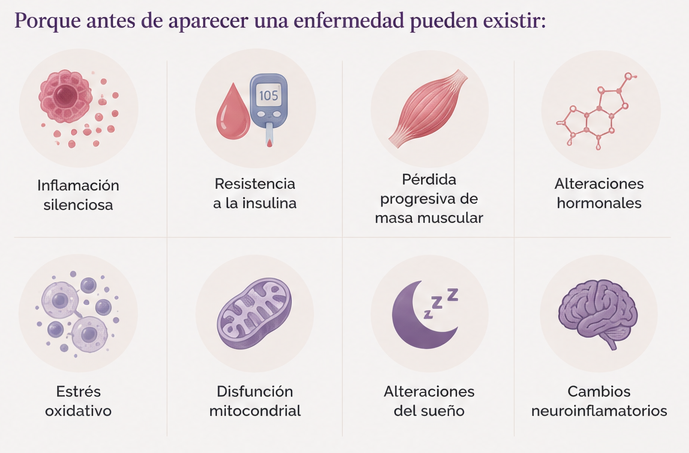 Hormonas y longevidad femenina 10